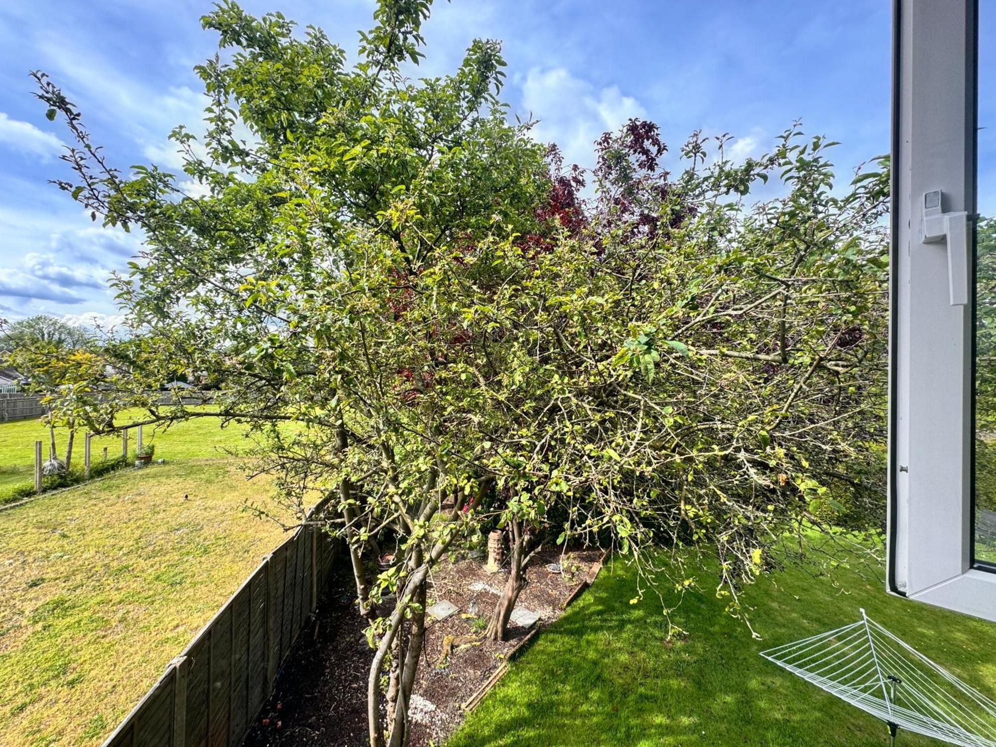 High Trees Guest House Gatwick Horley Zewnętrze zdjęcie